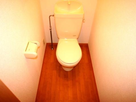 Toilet. WC