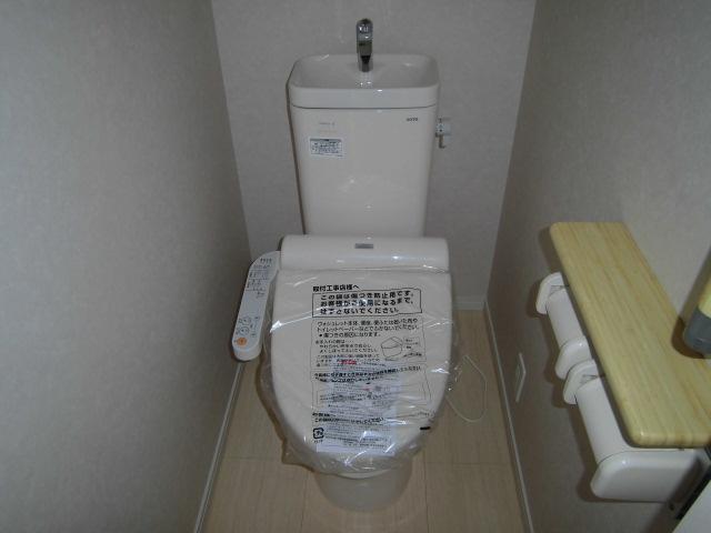 Toilet. Hot water function with toilet