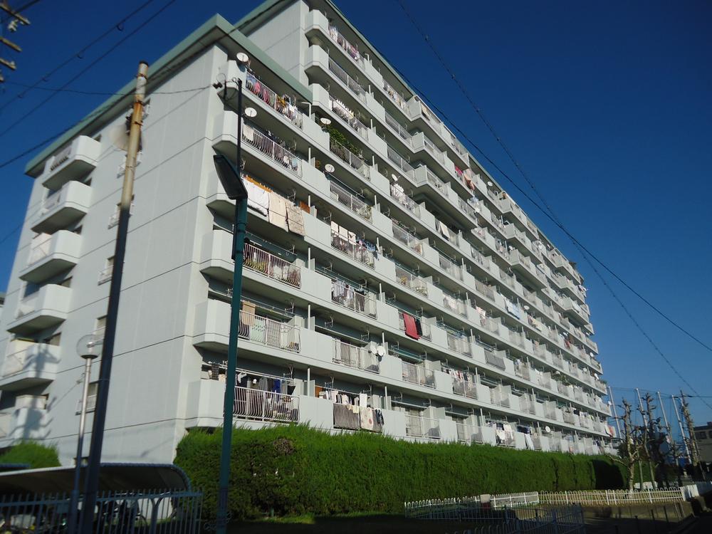 Local appearance photo. Local (11 May 2013) Shooting