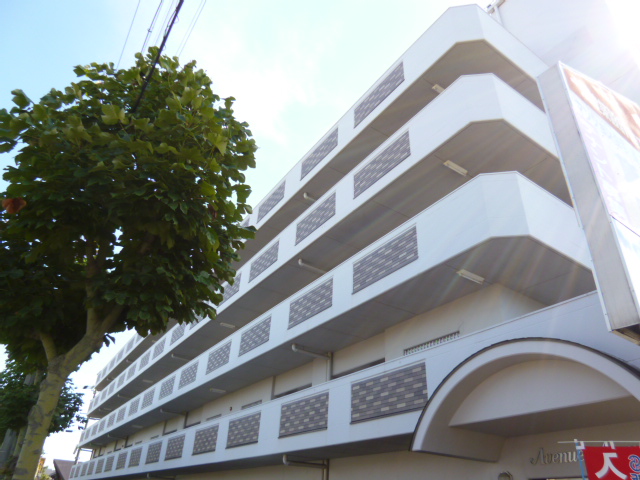 Building appearance. Facing south With elevator