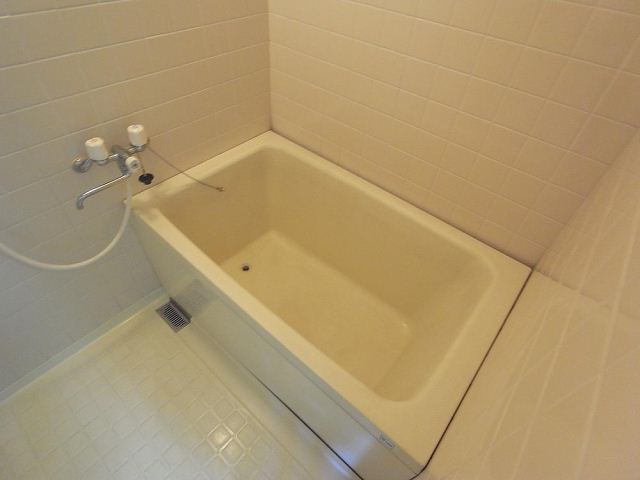 Bath. This tub and spacious.