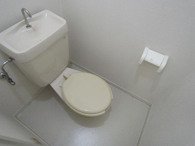 Toilet. It is a toilet with a clean.