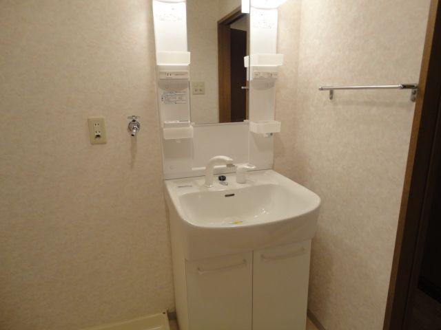 Washroom. Bathroom vanity