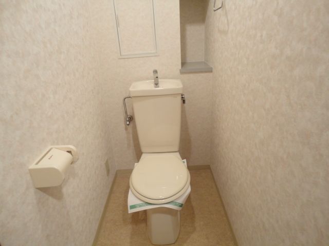 Toilet. Western-style toilet