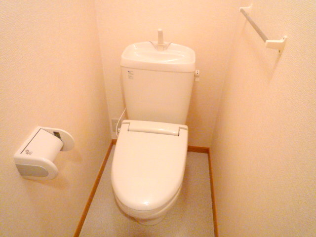 Toilet. Spacious toilet space (The photograph is an image)