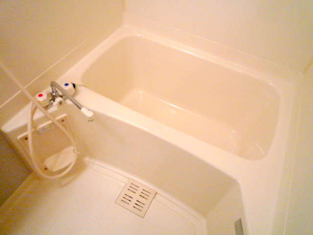 Bath. Clean unit type bathroom (The photograph is an image)