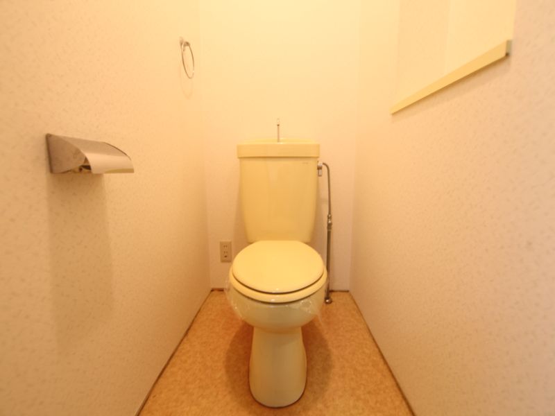 Toilet. Warm water washing toilet seat mounting possible