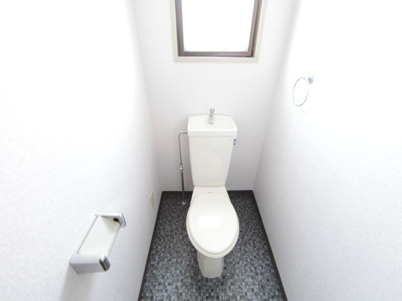 Toilet. Warm water washing toilet seat mounting possible