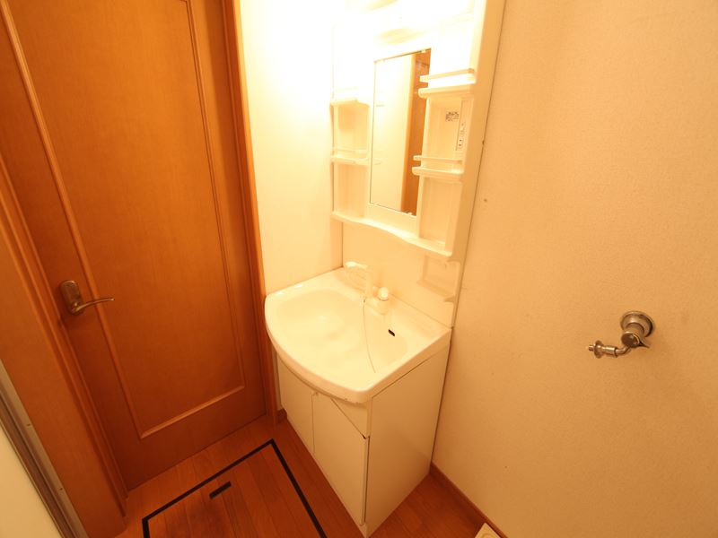 Washroom. Wash basin with shampoo dresser