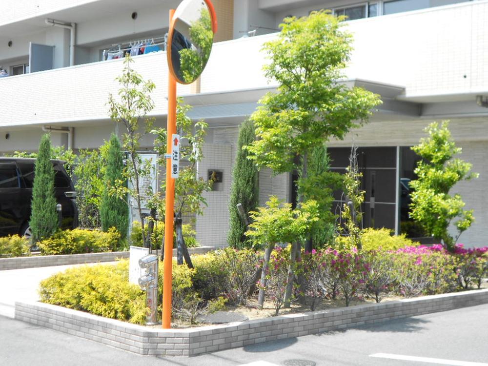 Entrance. Common areas