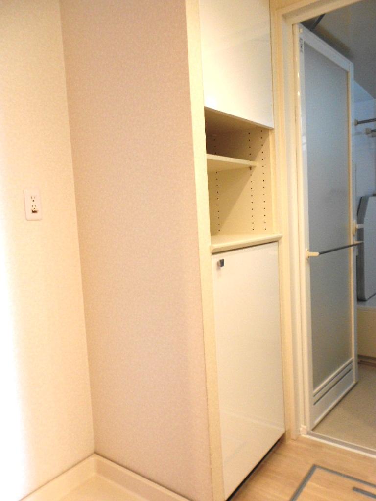 Wash basin, toilet. It is a basin of linen cabinet. (November 2013) Shooting