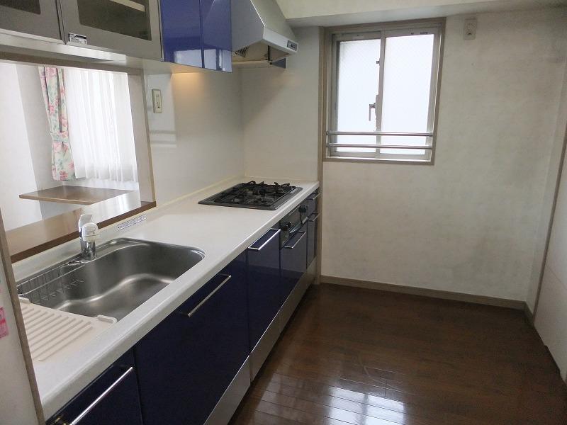 Kitchen. Indoor (10 May 2013) Shooting