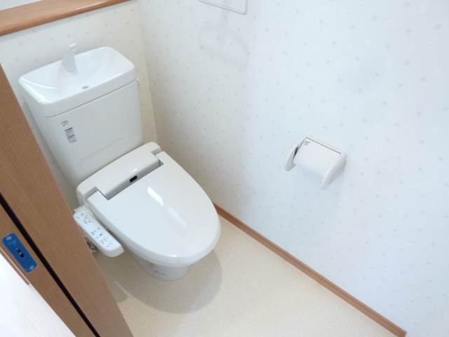 Toilet. Comfortable in the warm water cleaning toilet seat (photo image)