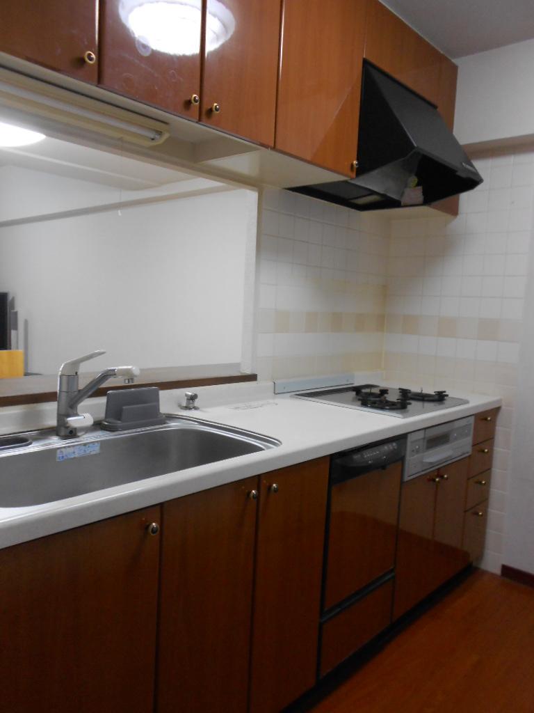 Kitchen. Indoor (10 May 2013) Shooting