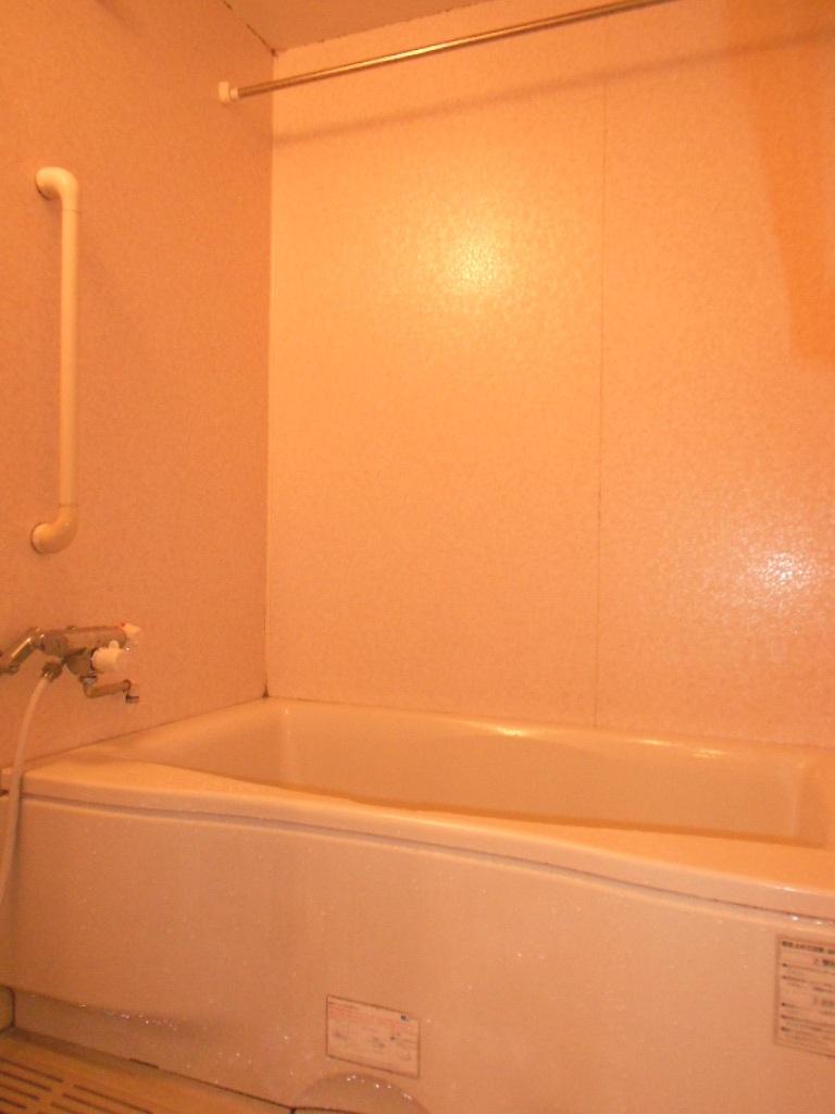 Bathroom. Indoor (10 May 2013) Shooting