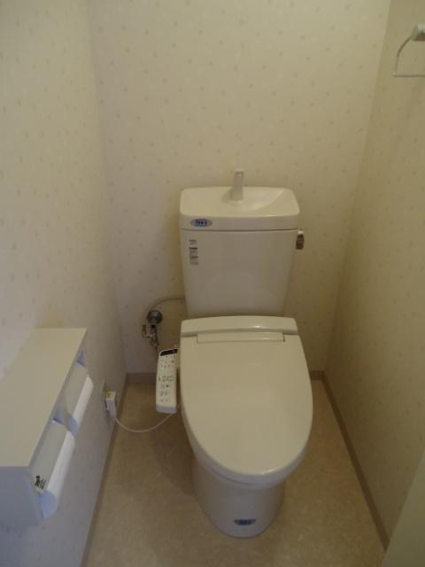 Toilet. Shower heating toilet seat toilet shooting