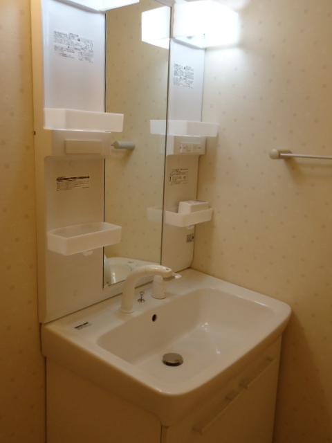 Wash basin, toilet. Vanity shooting