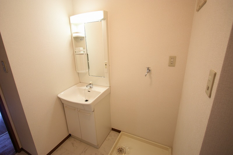 Washroom. Laundry Area and washbasin