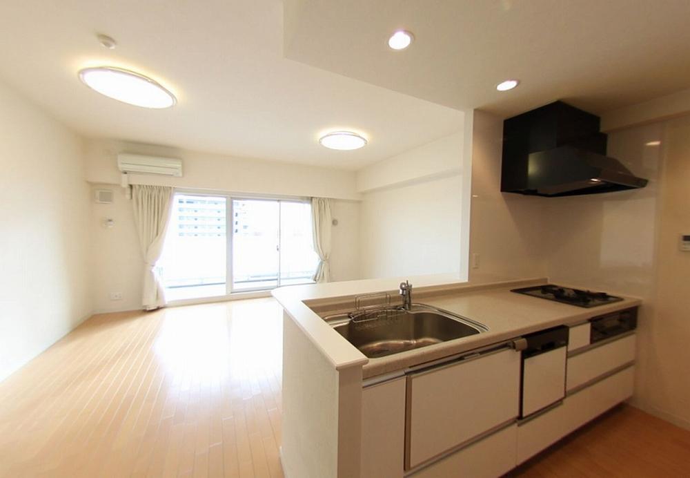 Kitchen. Beautiful and functional kitchen. There is dishwasher.