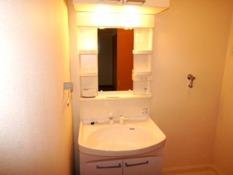 Washroom. Bathroom Vanity