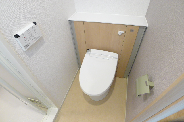 Toilet. There is housed in a side convenient toilet ^^