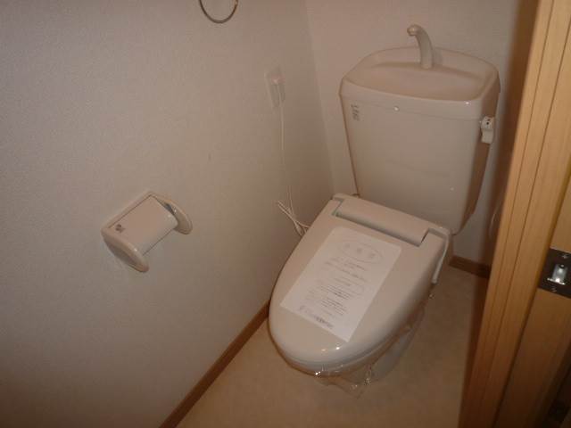 Toilet. Toilet (The photograph is an image)