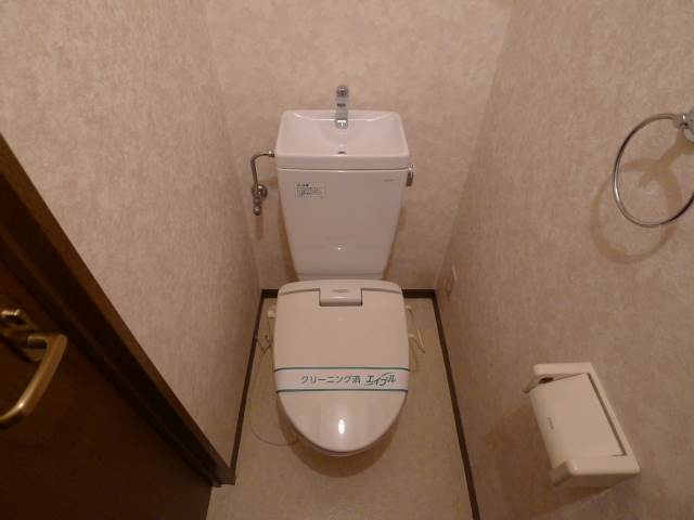 Toilet. Toilet