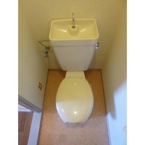 Toilet