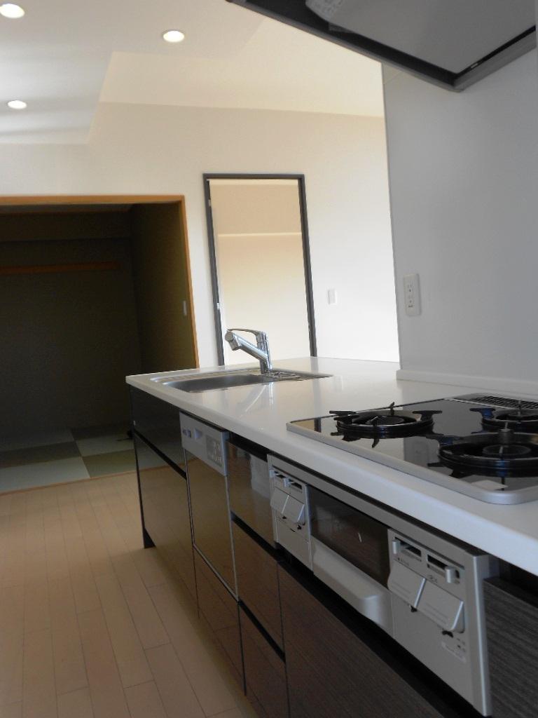 Kitchen. Dishwasher, water filter, Artificial marble of the top plate, Glass top is with a stove. (November 2013) Shooting