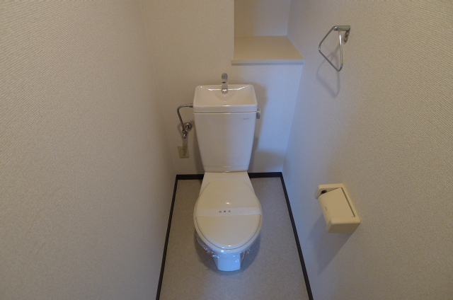 Toilet. Western-style toilet