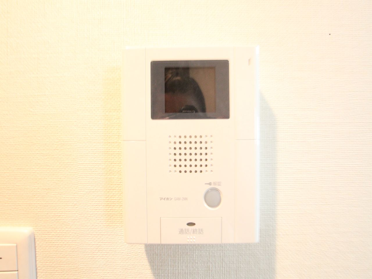 Security. Intercom with TV monitor