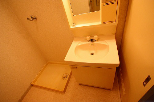 Washroom. Wash basin