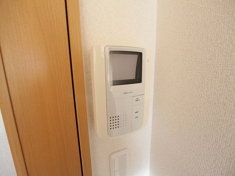 Security. Monitor with intercom