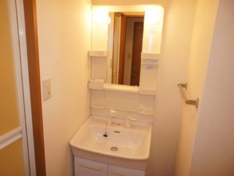 Washroom. Bathroom Vanity