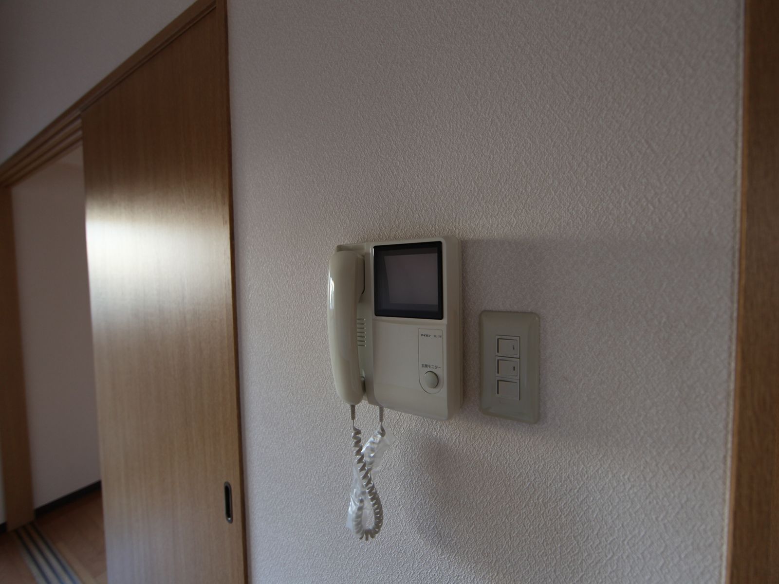 Security. Intercom with TV monitor