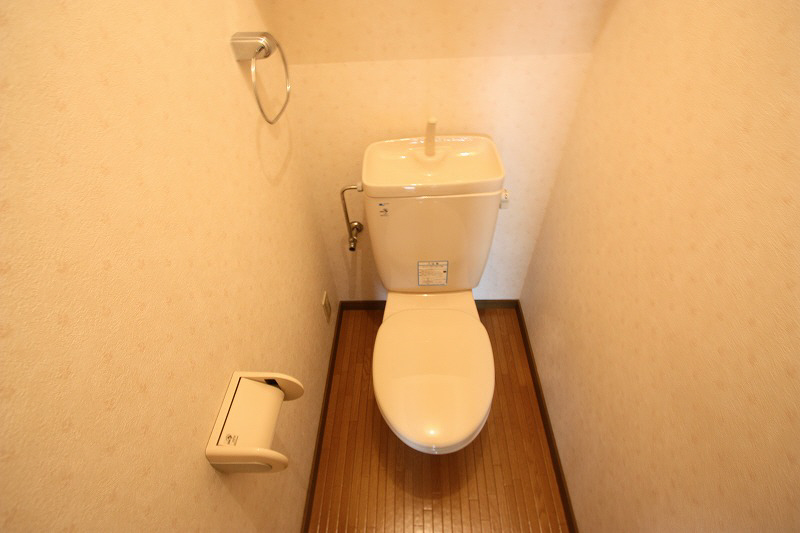 Toilet. Toilet