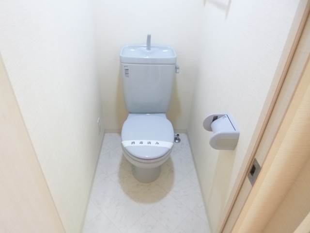 Toilet. A clean toilet ^^