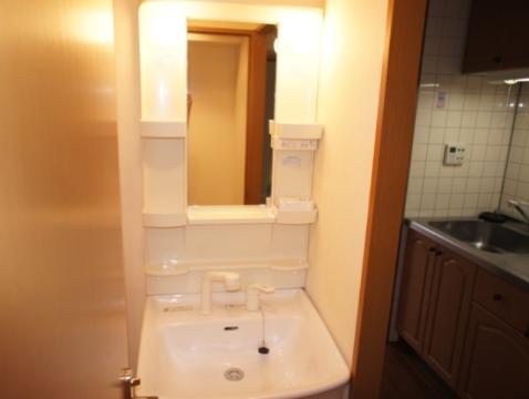 Washroom. Bathroom Vanity