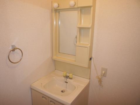 Washroom. Bathroom vanity