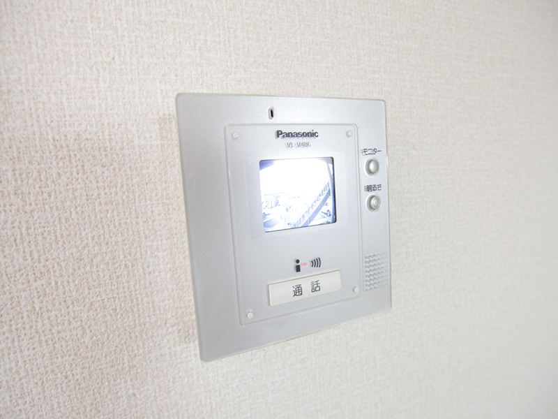 Security. Intercom with TV monitor