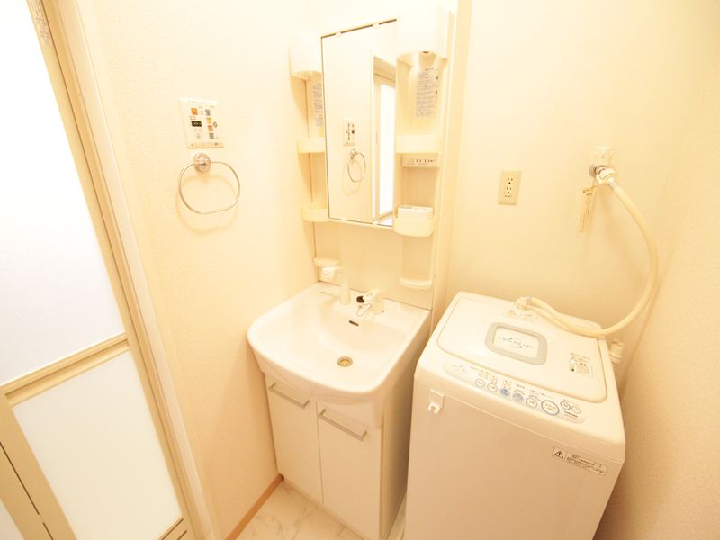 Washroom. Dressing room Independent washbasin (with shampoo dresser) model room