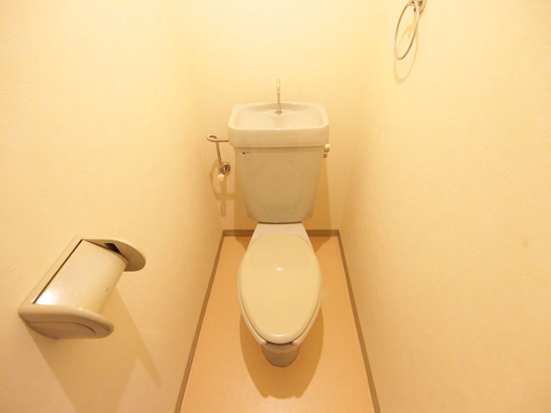 Toilet. Western-style toilet