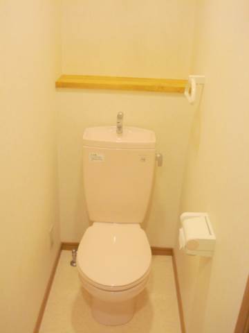 Toilet. Toilet (The photograph is an image)