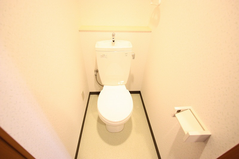 Toilet. It settles down toilet