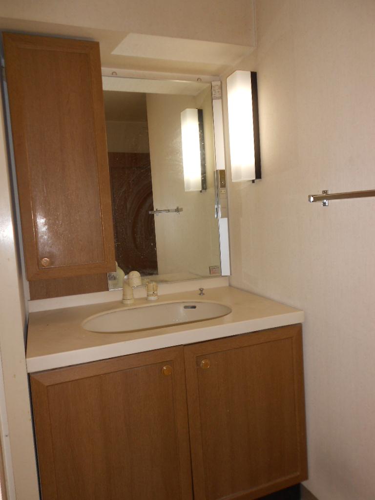 Wash basin, toilet. Hand a shower. (November 2013) Shooting