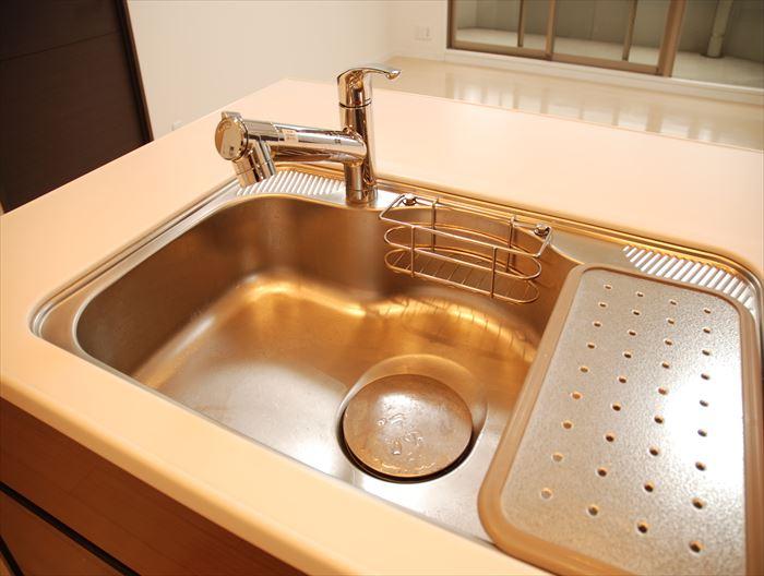 Kitchen. Effortlessly work with the shower faucet and a large sink