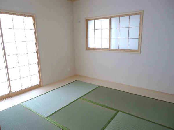 Other. The series construction cases Japanese-style room