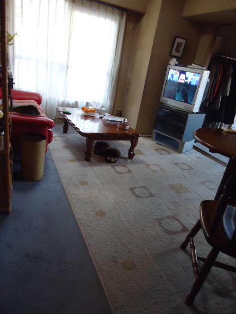 Living. Living shooting