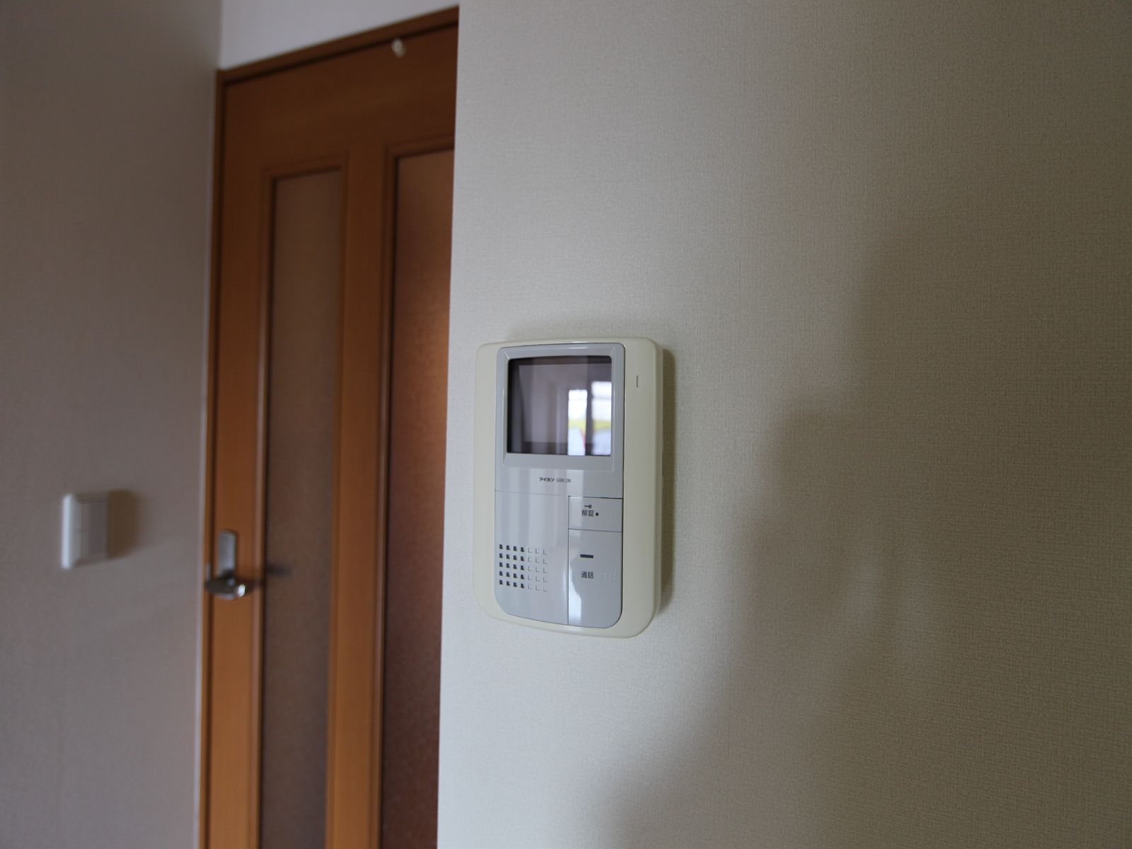 Security. Intercom with TV monitor