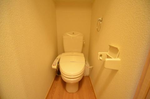 Toilet. WC